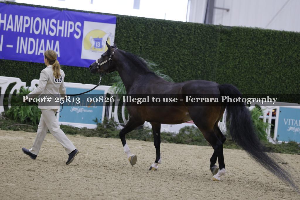 Proof Number 25R13_00826
