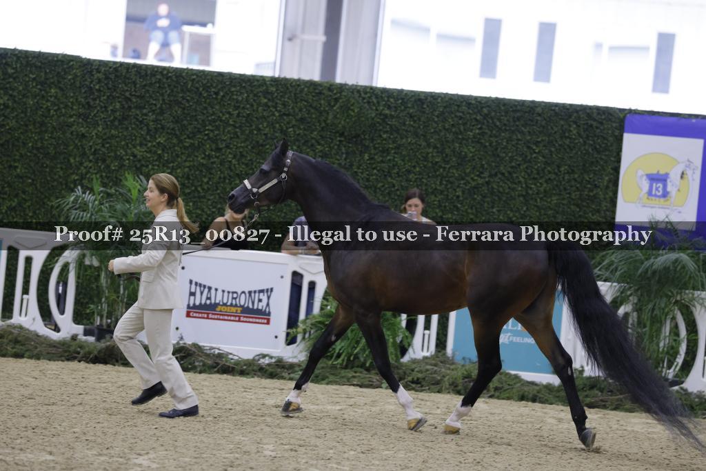 Proof Number 25R13_00827