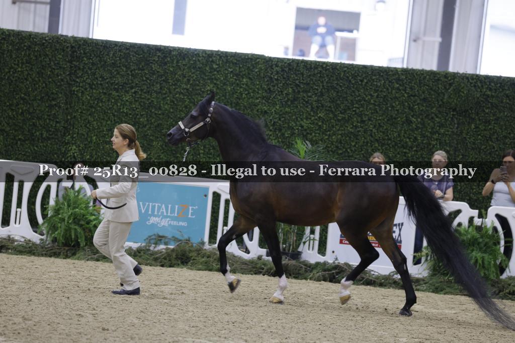 Proof Number 25R13_00828