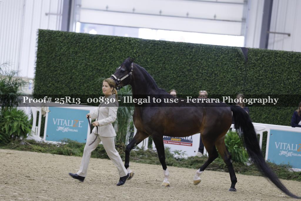 Proof Number 25R13_00830