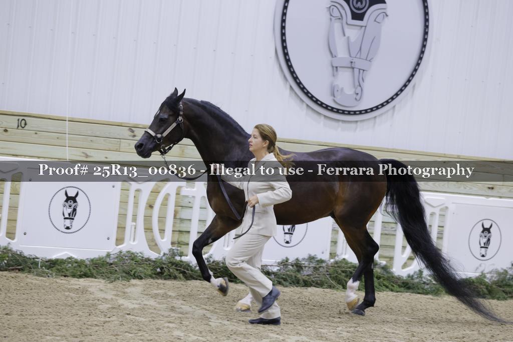 Proof Number 25R13_00836