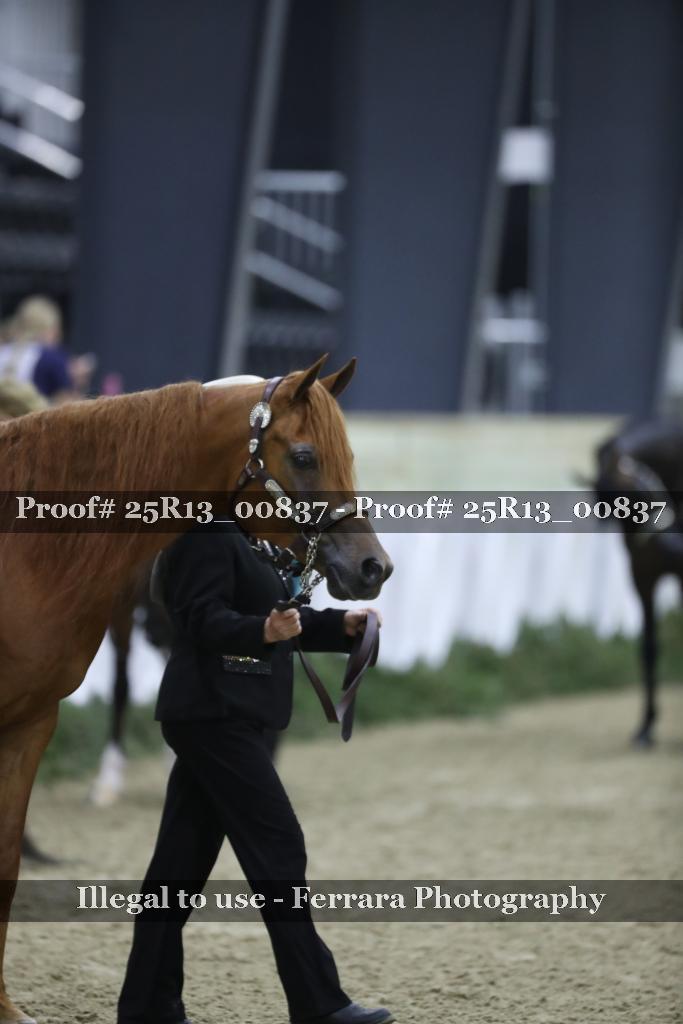 Proof Number 25R13_00837