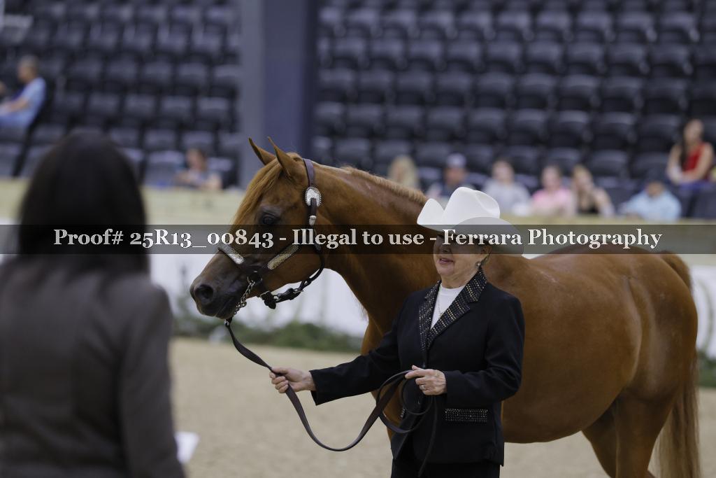 Proof Number 25R13_00843