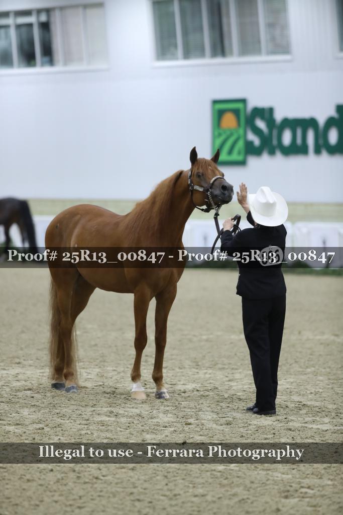Proof Number 25R13_00847
