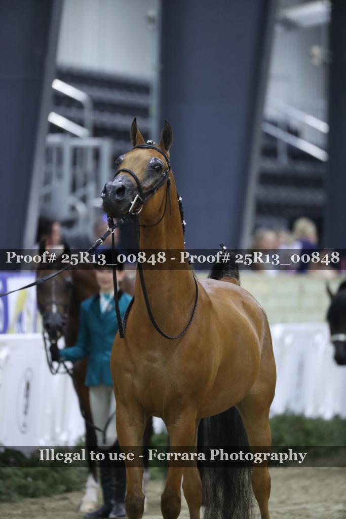 Proof Number 25R13_00848