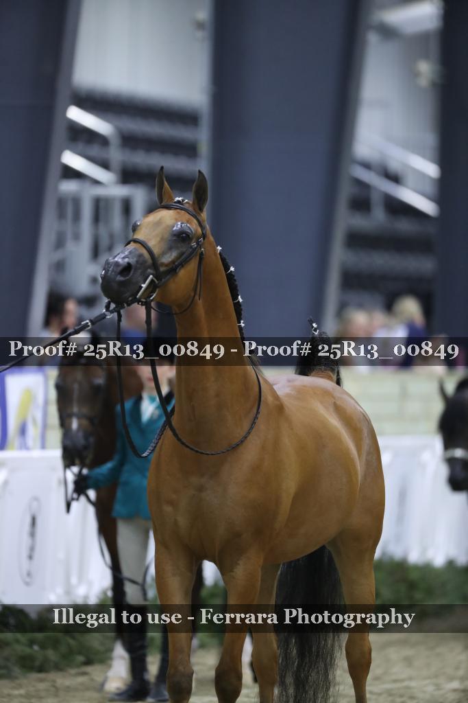 Proof Number 25R13_00849