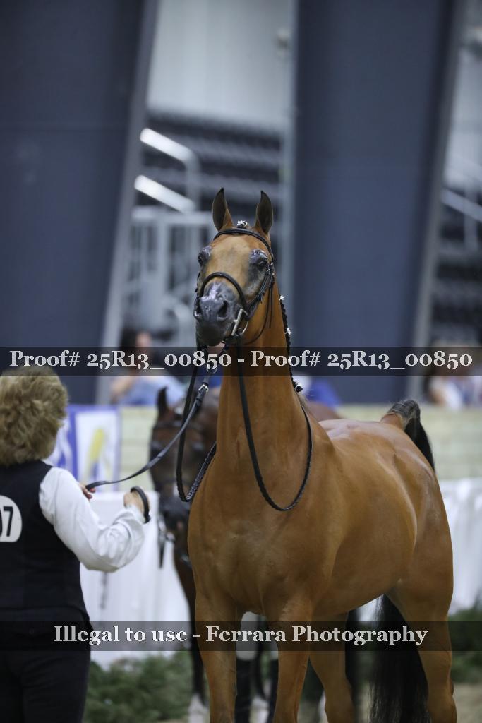 Proof Number 25R13_00850