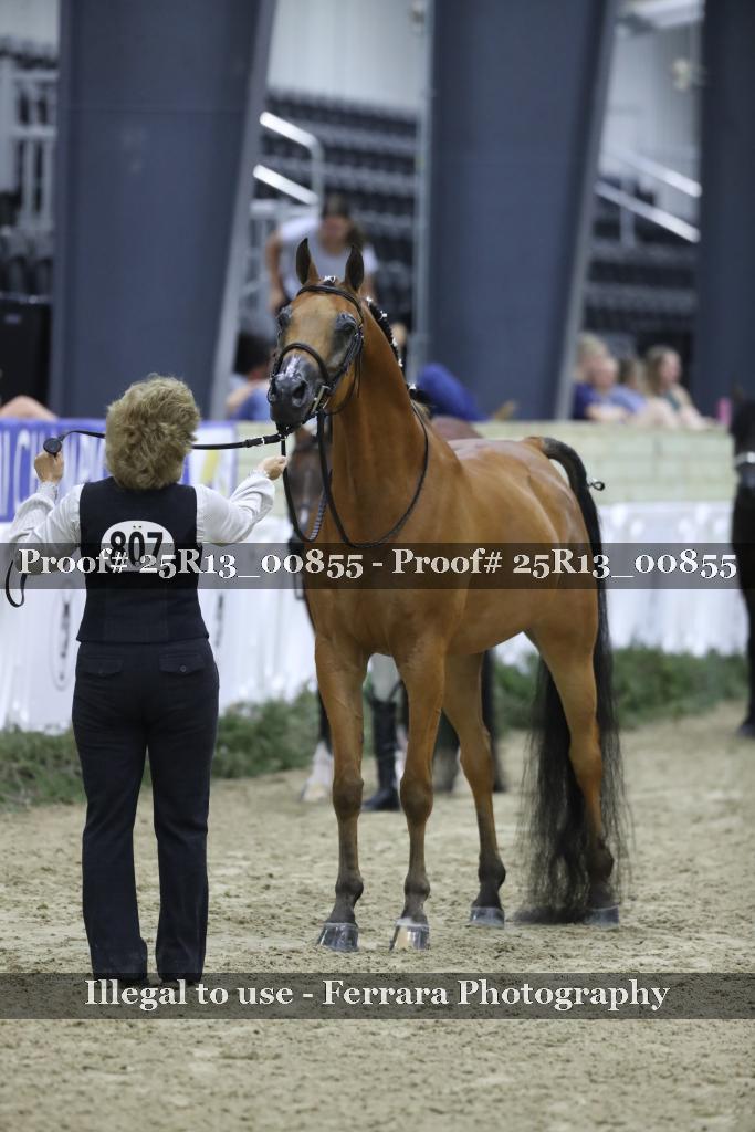 Proof Number 25R13_00855
