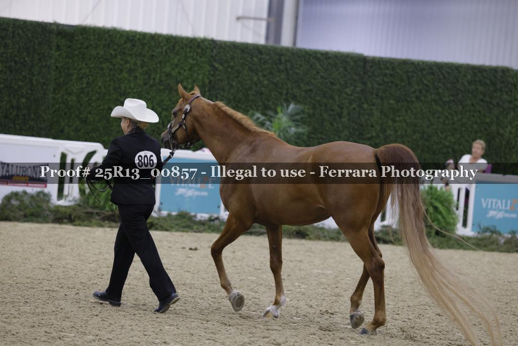 Proof Number 25R13_00857