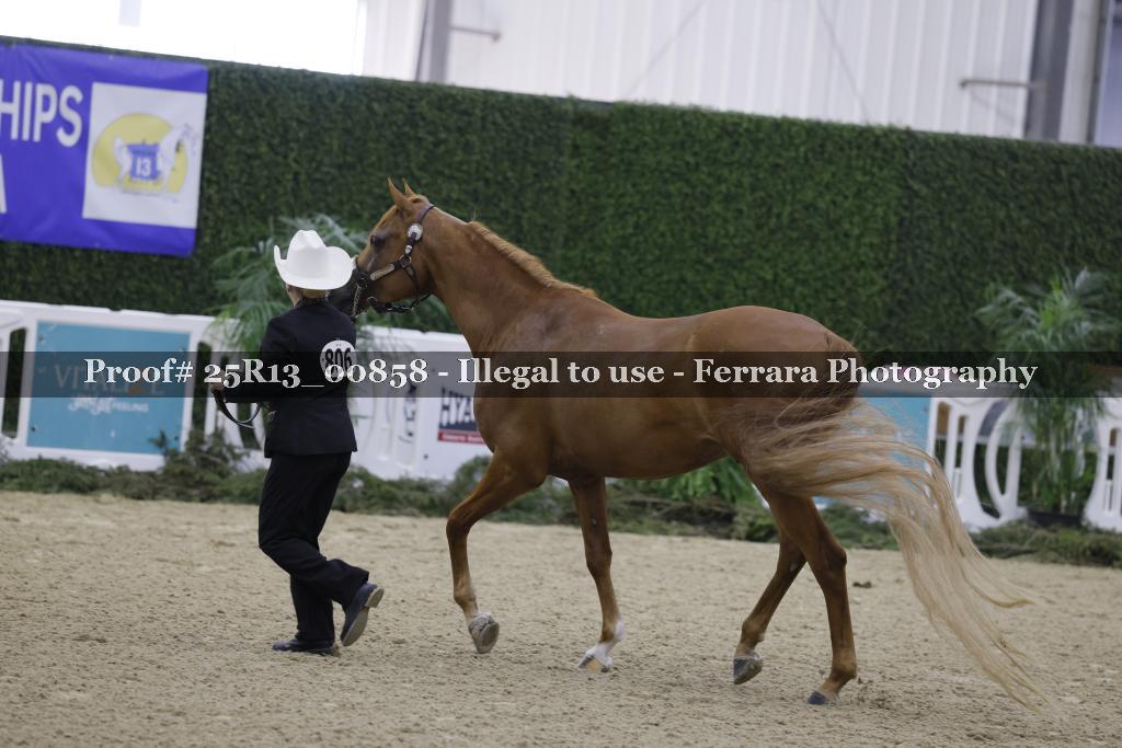 Proof Number 25R13_00858