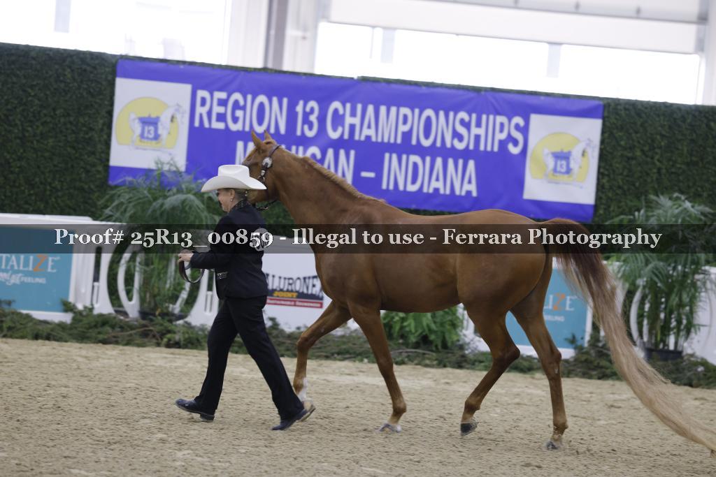 Proof Number 25R13_00859