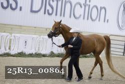 25R13_00864 thumbnail