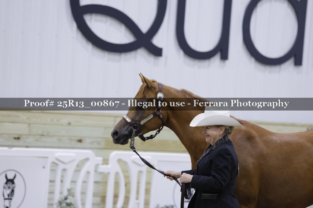 Proof Number 25R13_00867