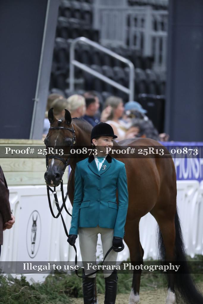 Proof Number 25R13_00873