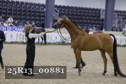 25R13_00881 thumbnail