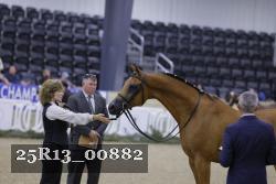 25R13_00882 thumbnail