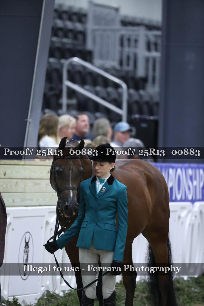 Proof Number 25R13_00883