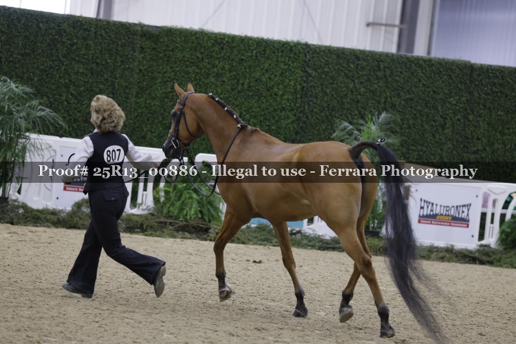 Proof Number 25R13_00886