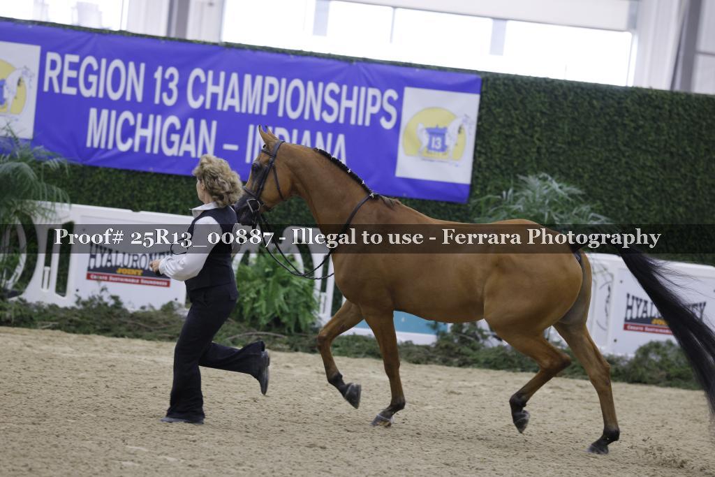 Proof Number 25R13_00887