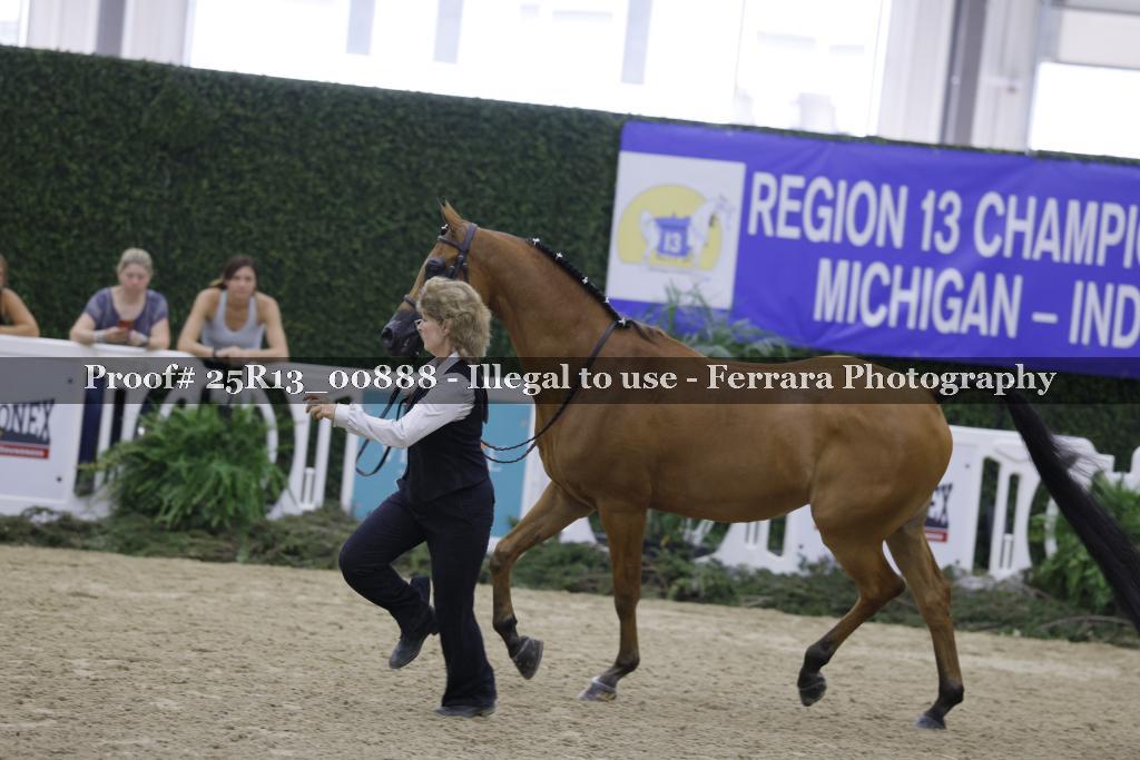 Proof Number 25R13_00888