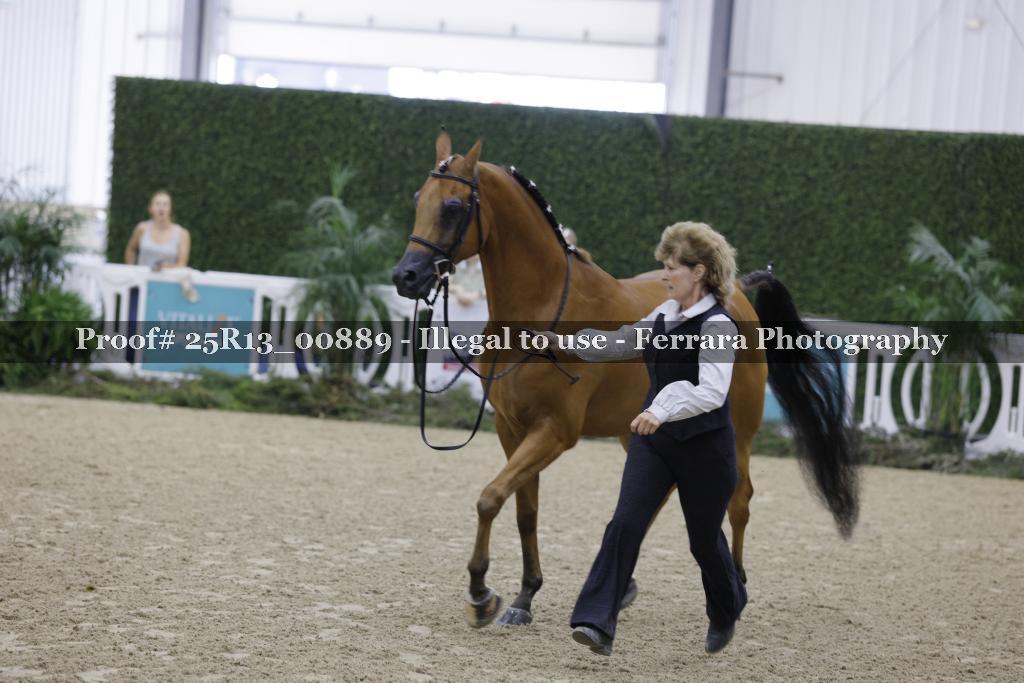 Proof Number 25R13_00889
