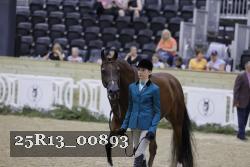 25R13_00893 thumbnail