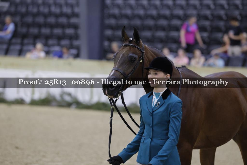 Proof Number 25R13_00896