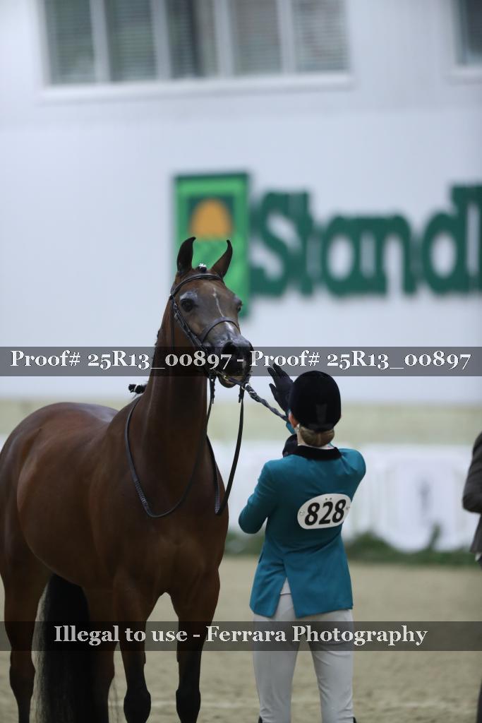 Proof Number 25R13_00897