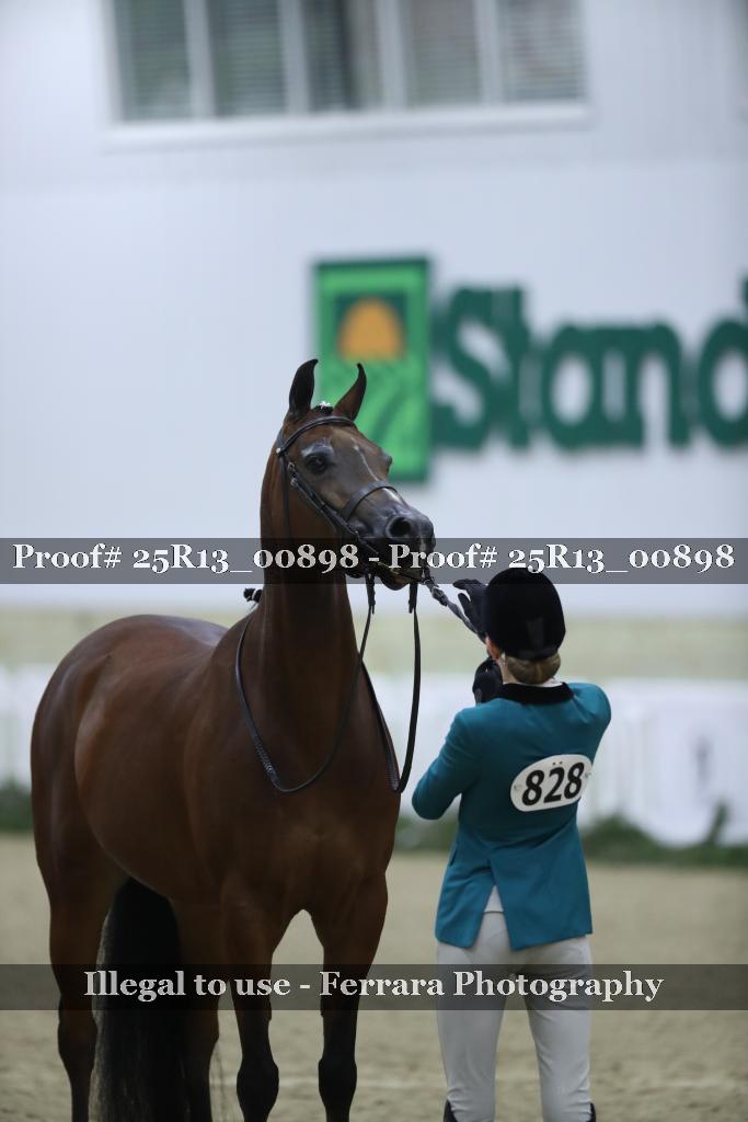 Proof Number 25R13_00898