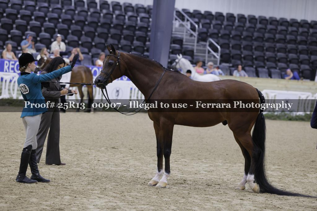 Proof Number 25R13_00907