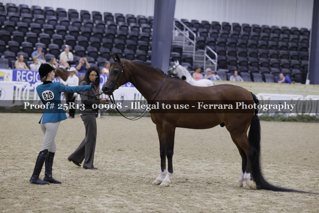 Proof Number 25R13_00908