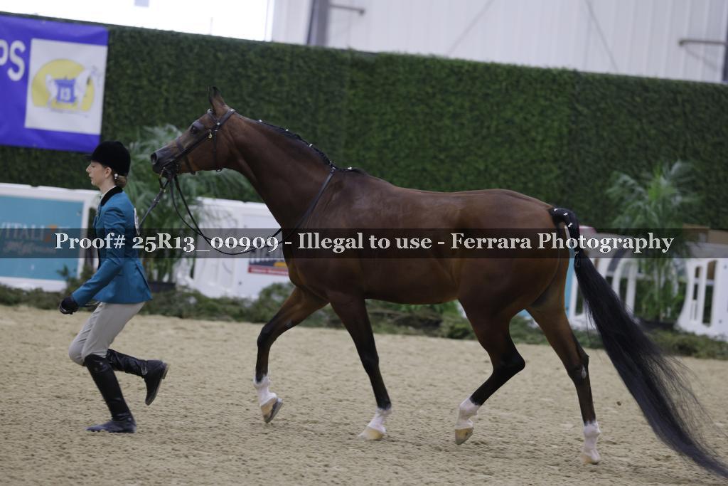 Proof Number 25R13_00909