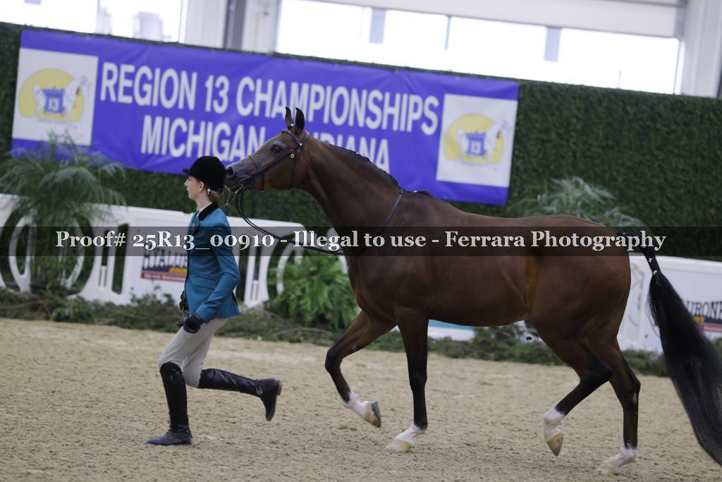 Proof Number 25R13_00910