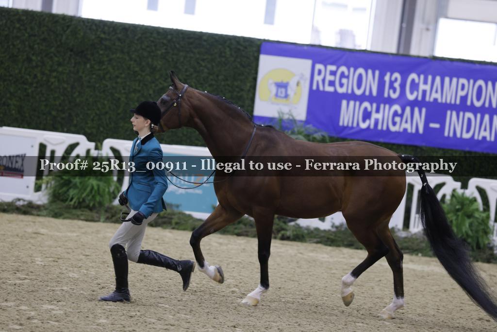 Proof Number 25R13_00911