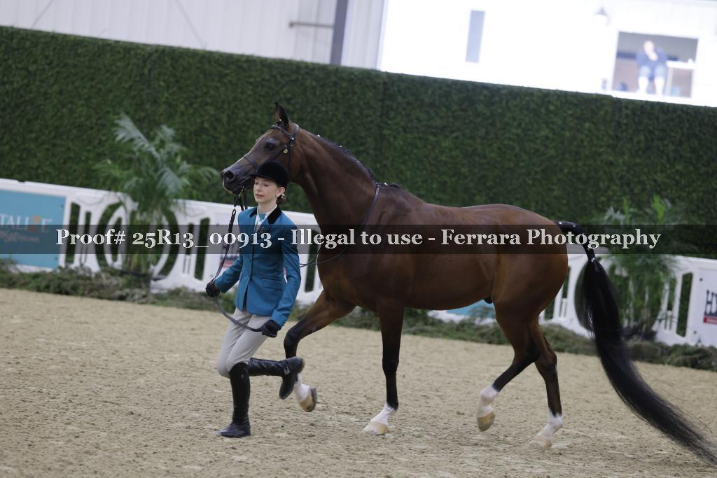 Proof Number 25R13_00913