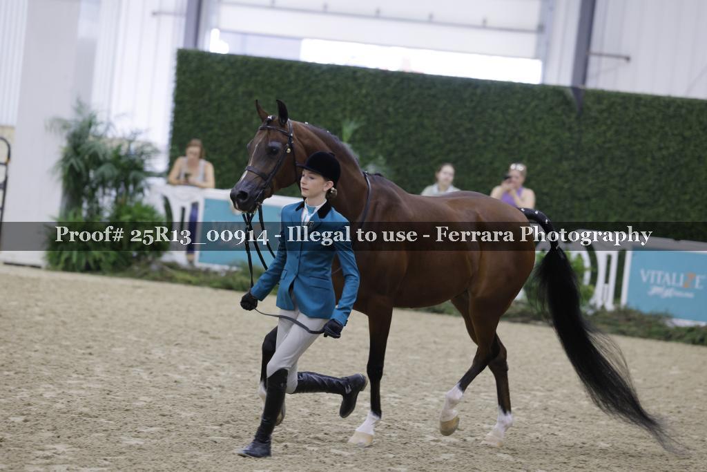 Proof Number 25R13_00914