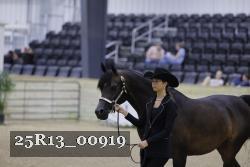 25R13_00919 thumbnail