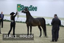 25R13_00926 thumbnail