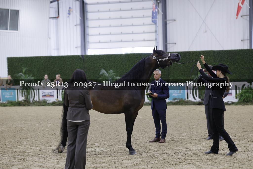 Proof Number 25R13_00927