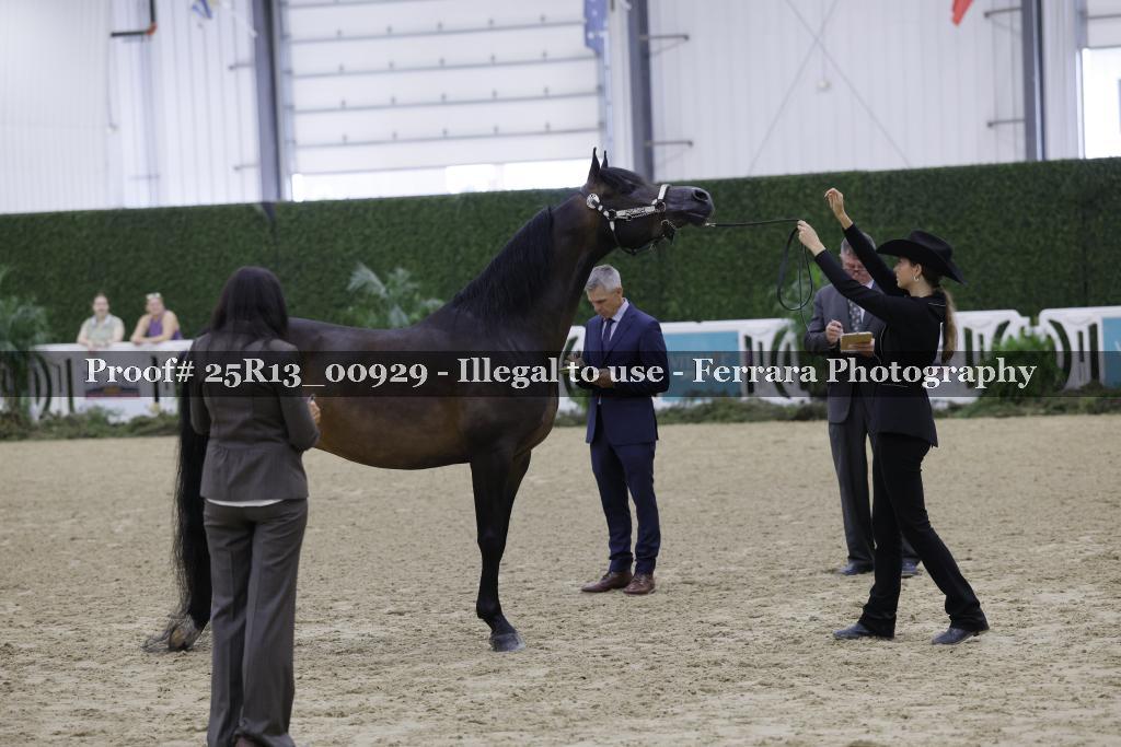 Proof Number 25R13_00929