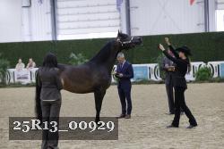 25R13_00929 thumbnail