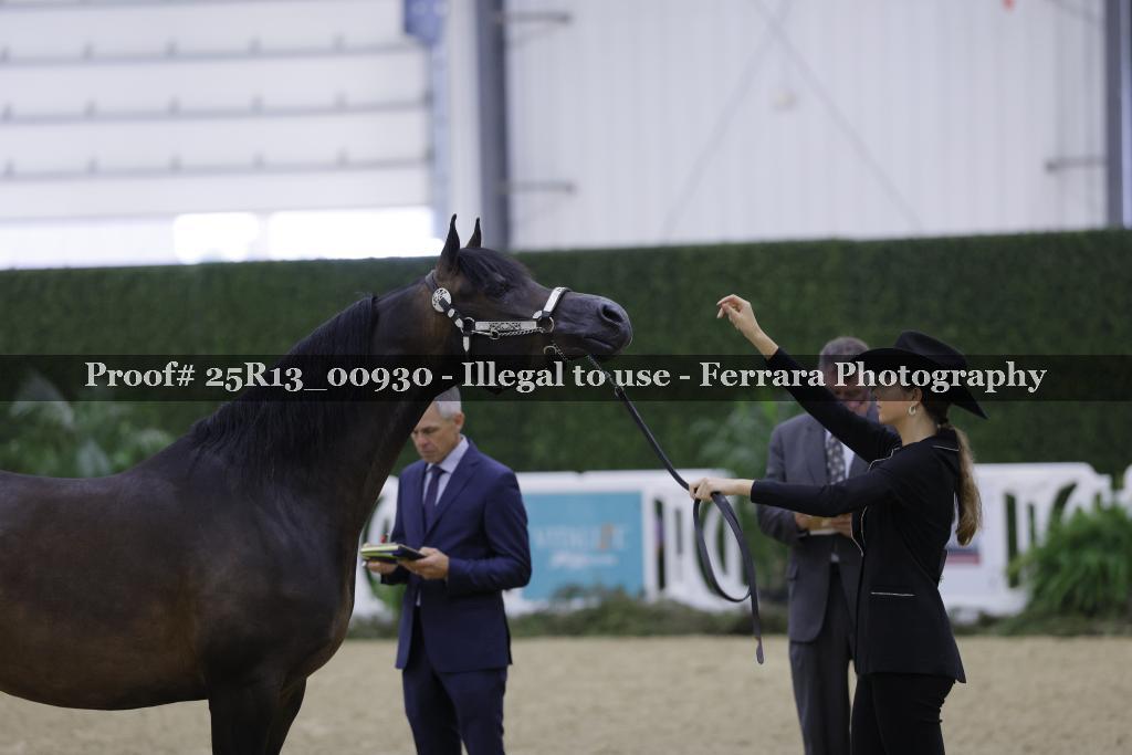 Proof Number 25R13_00930