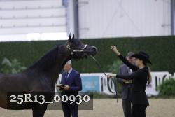 25R13_00930 thumbnail
