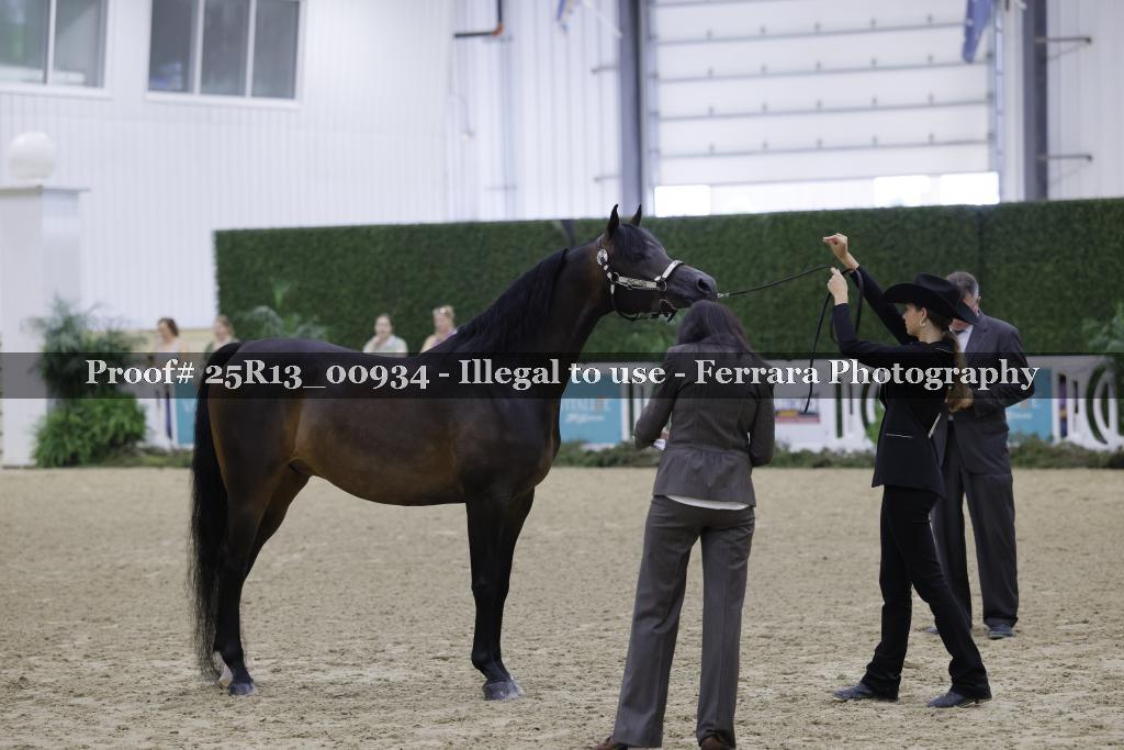 Proof Number 25R13_00934