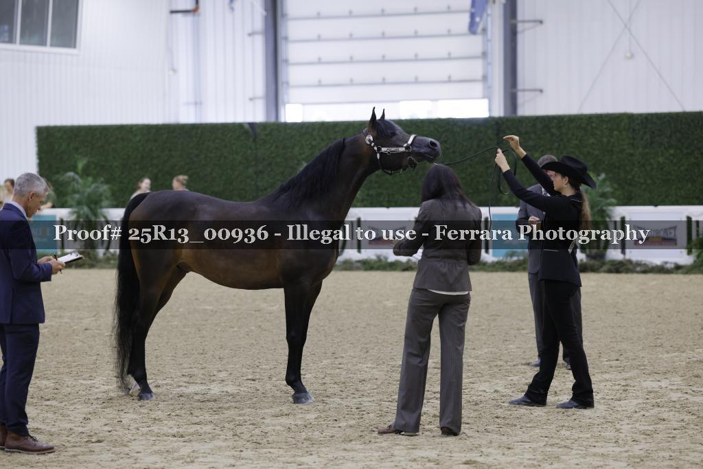 Proof Number 25R13_00936