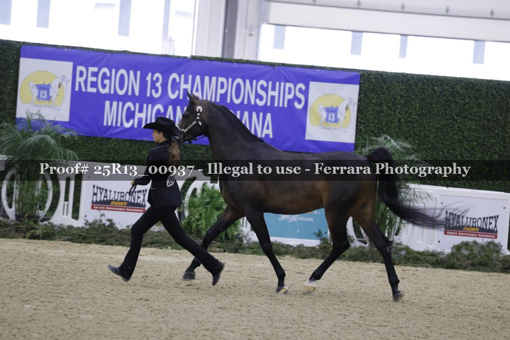 Proof Number 25R13_00937