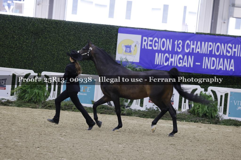 Proof Number 25R13_00938