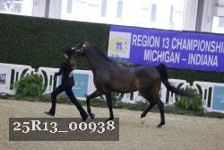 25R13_00938 thumbnail