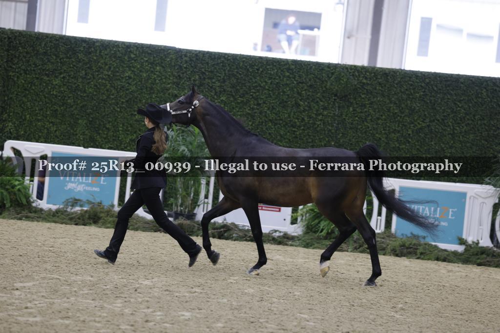 Proof Number 25R13_00939