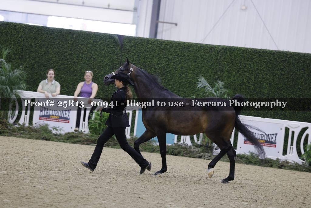 Proof Number 25R13_00941